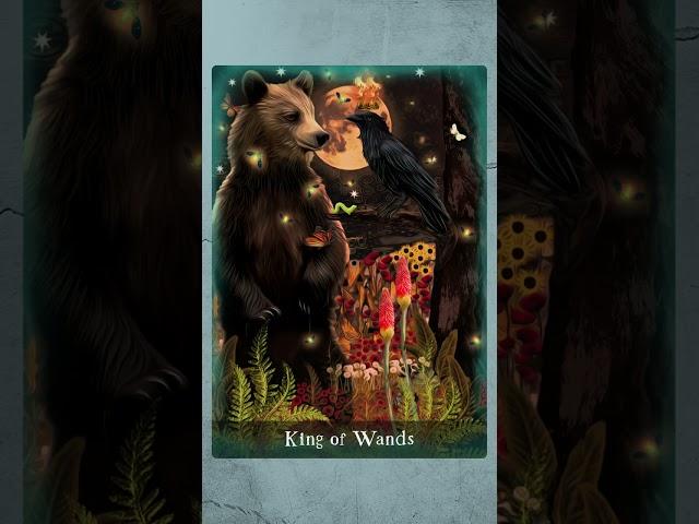 Here is a look at the complete Raven's Dream Tarot!! MJ Cullinane