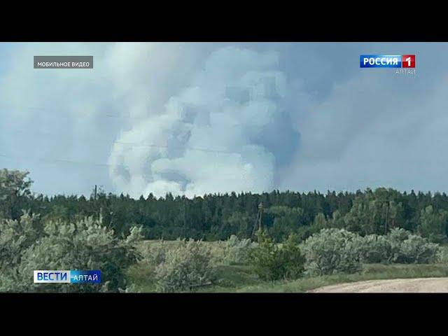 В Егорьевском районе снова горит лес