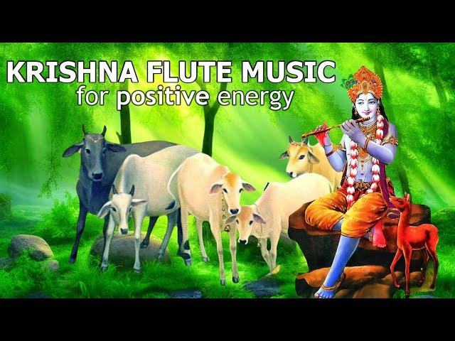 KRISHNA FLUTE MUSIC FOR POSITIVE ENERGY| MEDITATION & RELAXING MUSIC ,FLUTE,MORNING FLUTE,YOGA ^357