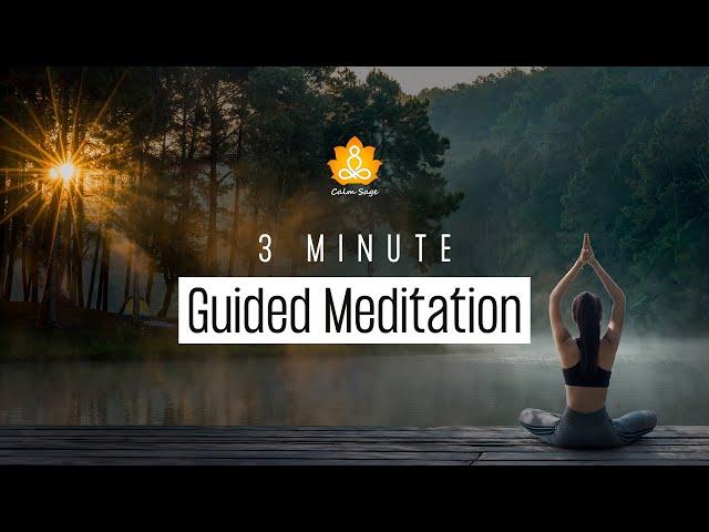 3 Minute Breathing Meditation | 3-Minute Guided Breathing Exercise For Focus & Relaxation