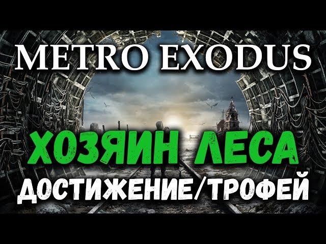 Метро Исход - достижение/трофей "Хозяин леса" (Master of the Forest)