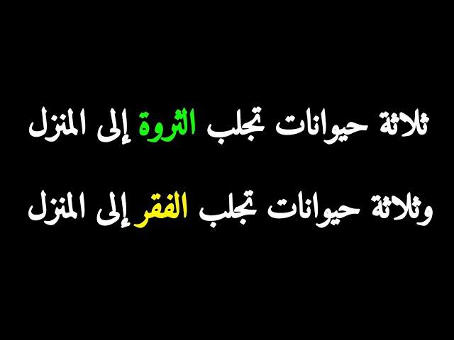 ثلاثة حيوانات تجلب المال في المنزل وثلاثة حيوانات تجلب الفقر - قوة الأحلام