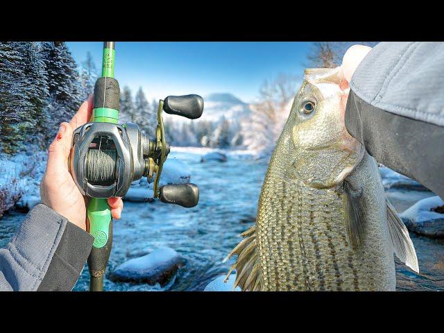 My BEST Winter Fishing Day EVER - Nonstop Action