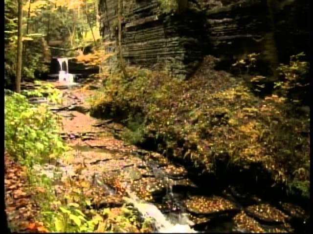 Fillmore Glen State Park