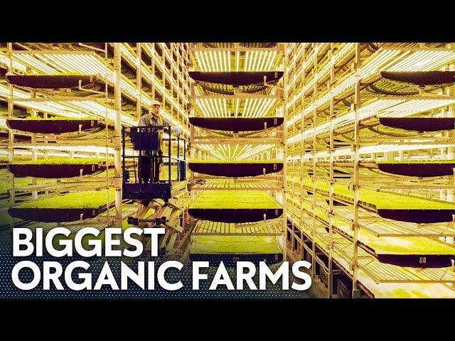 BIGGEST Organic Farms Around The World You NEVER Knew About!