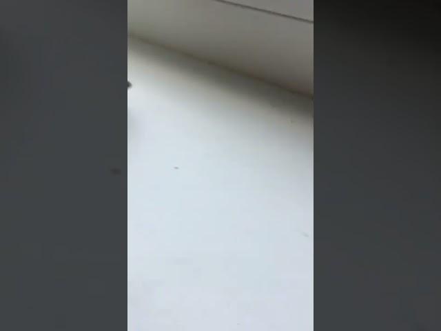 УАЗ  буханка головастик из Лего