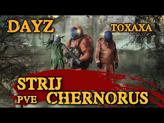 DayZ Strij PVE Chernorus (2 день выживания )