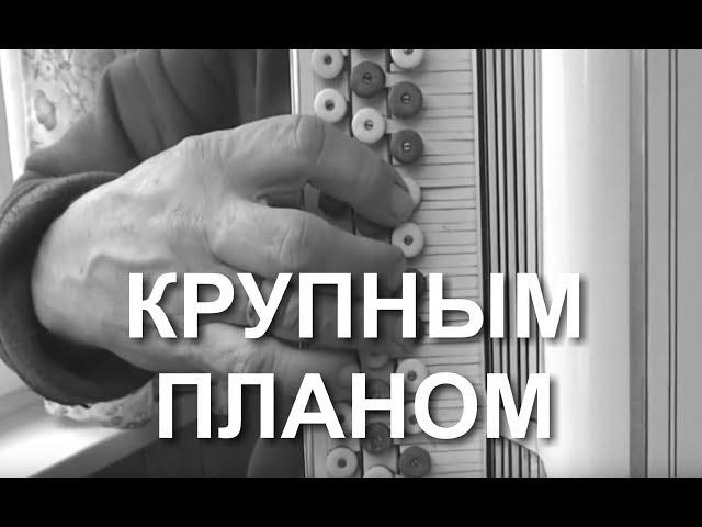 Клен ты мой опавший - КРУПНЫМ ПЛАНОМ