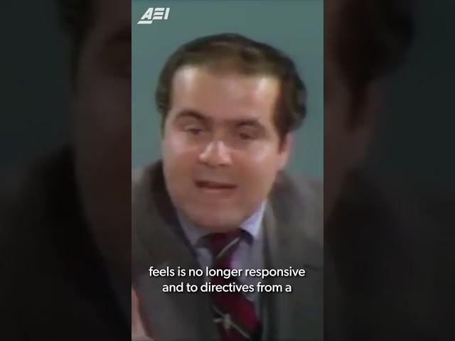 Constitutional Convention w/ Scalia