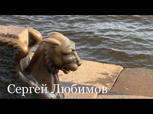 Сергей Любимов. Тенистый сад.