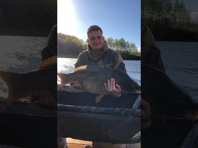 #carpfishing #карповаяловля #бойлы #карповаярыбалка #карпфишинг #прикормкадлярыбалки #рыбалка