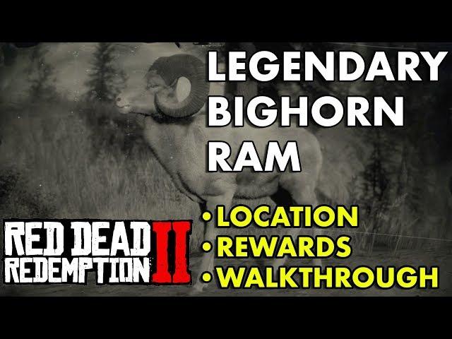 Red Dead Redemption 2 - Legendary Bighorn Ram (Location, Rewards, Walkthrough)
