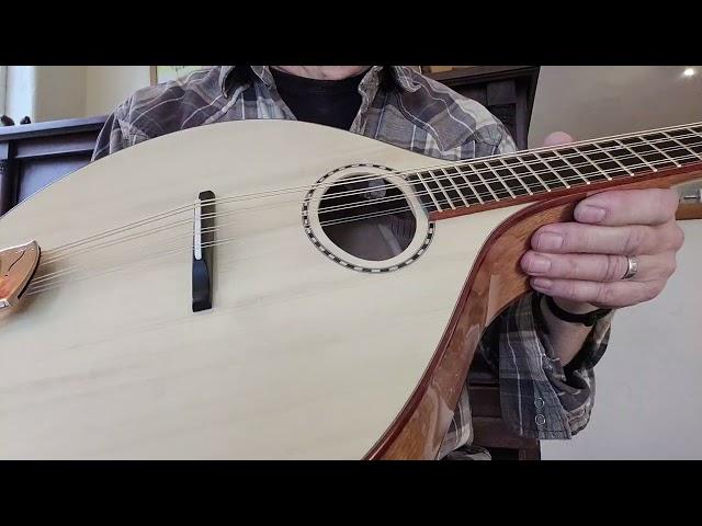 Adirondack Spruce Octave Mandolin / Mahogany body / Nyberg Instruments Video demo