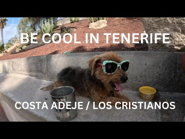 Tenerife walk with Daz- Costa Adeje to Los Cristianos #tenerife #adeje #loscristianos