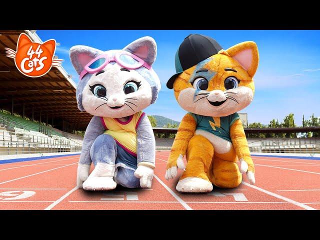  Paris 2024 | Lampo and Milady at the Olympics | 44 Cats