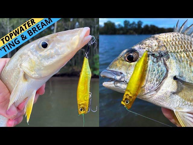 DEADLY Topwater Tactics For BREAM & WHITING! (Plus A Killer New Surface Lure Revealed)