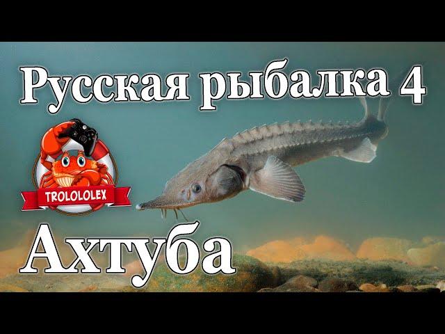 Русская рыбалка 4 Мегафарм на Ахтубе Буффало большеротый