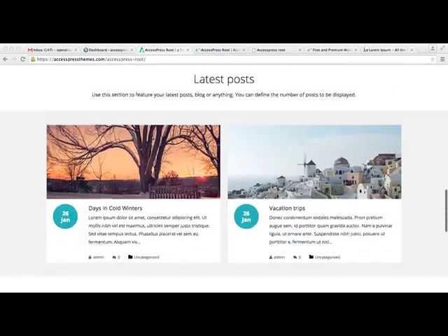 Perfect WordPress Theme AccessPress Root - How to Add Project Block Section | WordPress Tutorial