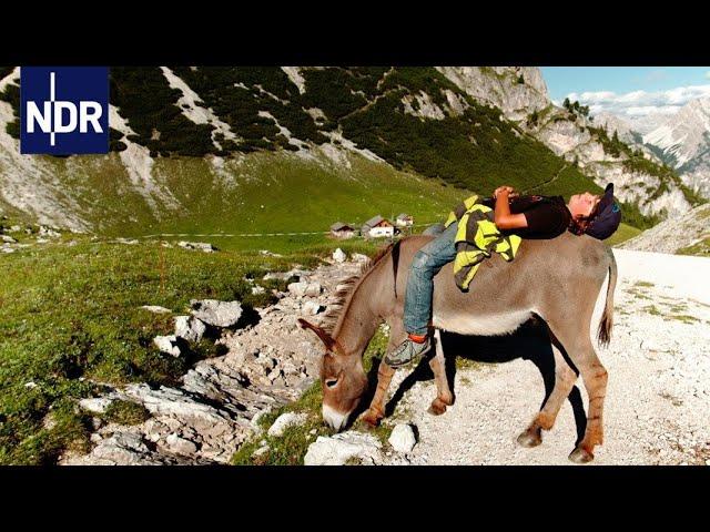 Auszeit in den Bergen - ohne Smartphone | 7 Tage... auf der Alm | Doku | NDR