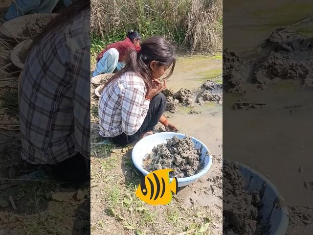 Most unique fish  in the world #trend #shortvideos #@akr