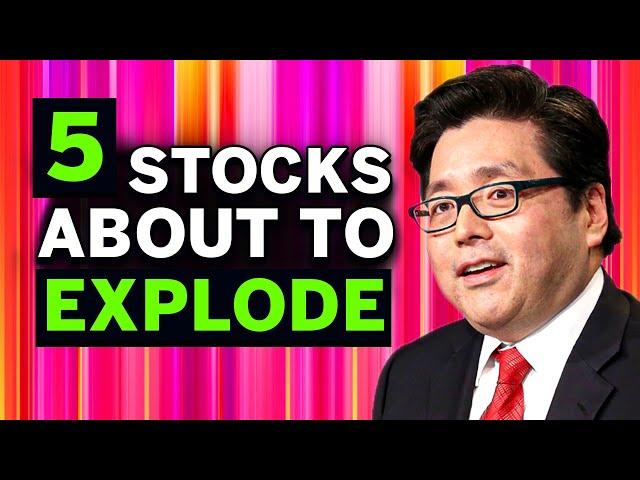 Tom Lee’s Best 5 Stocks to BUY NOW in July 2024 (High Growth Stocks) 