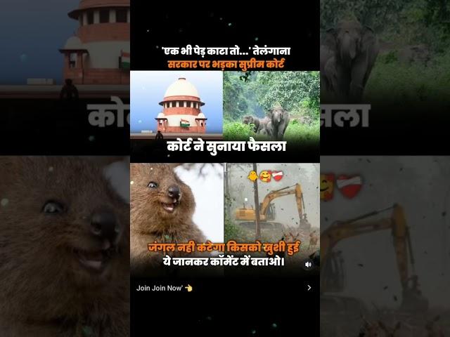 HCU HYDRABAD KA KANCHA GACHI BABLI FOREST  SAVE TREE #savetrees