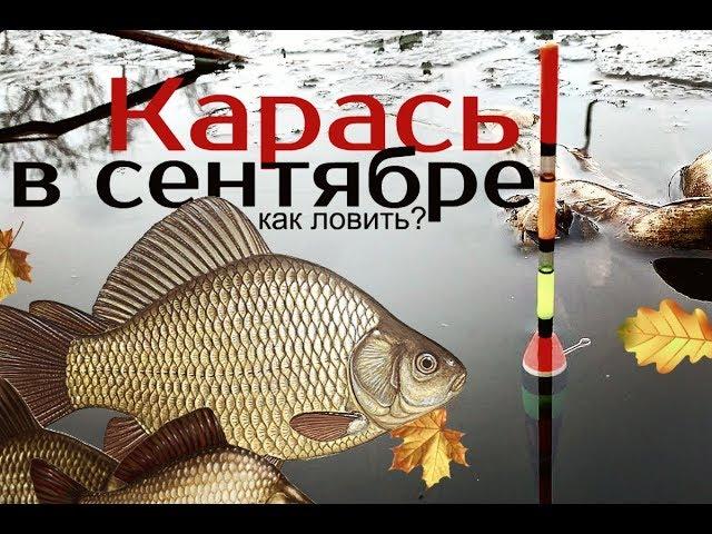 Как и на что ловить карася в сентябре?