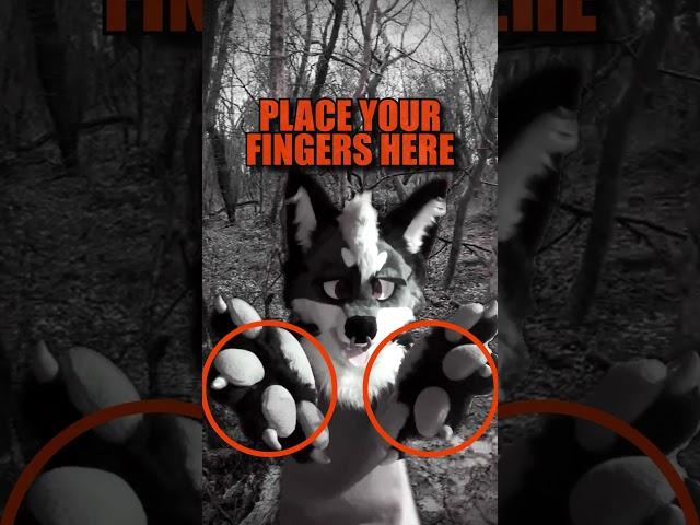 Hold My Paws :3 #furry #fursuit #fursuiters #meme