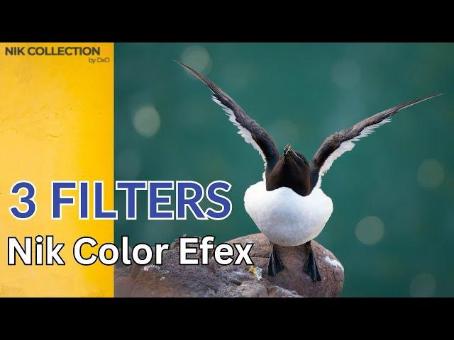 3 Favourite Photo Filters for Extra IMPACT in Color Efex - Nik Collection 7 | DxO