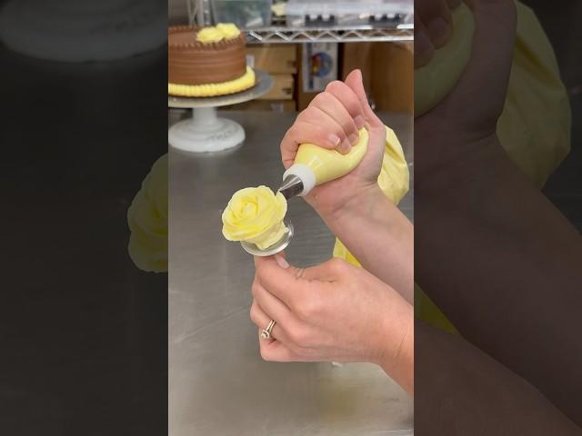 How to pipe a buttercream rose  #cake #buttercreamrose #tutorial