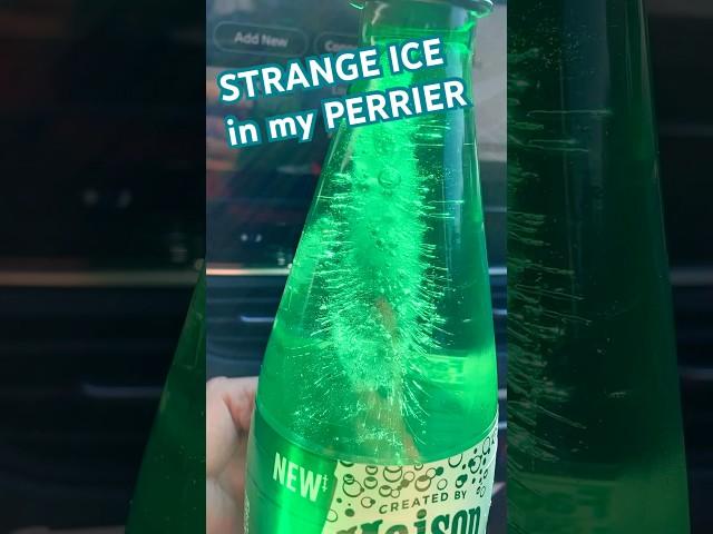 STRANGE PERRIER ICE #elvis #elvispresley #shorts #vinyl #beatles #trump #trump2024 #kamala #perrier