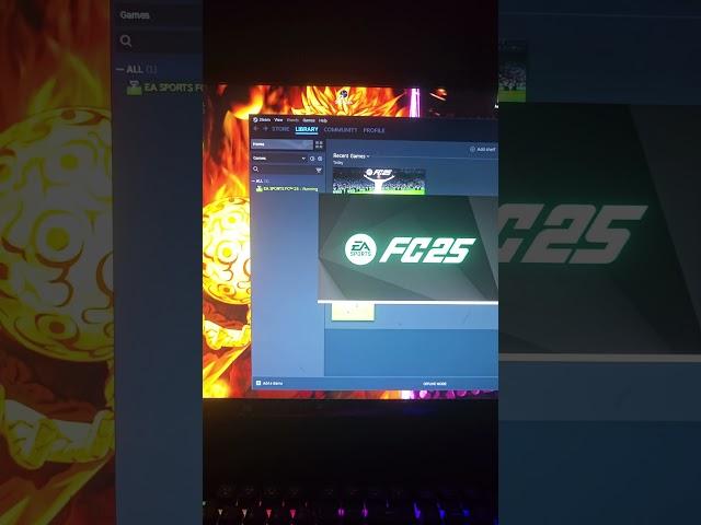 Funpay problem