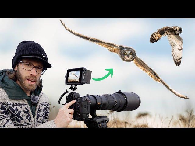 The Ultimate Guide to Shooting Wildlife Photos and Videos