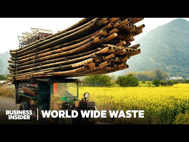 Can Bamboo Replace Paper And Plastic? And Should It? | World Wide Waste | Business Insider