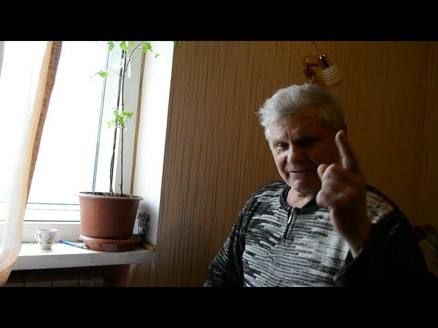КАКИЕ КУСТАРНИКИ ПОСАДИТЬ НА УЧАСТКЕ