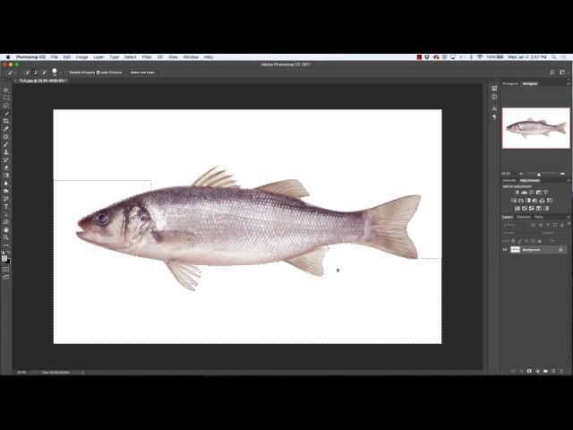 Chapter 23 How to use Quick Selection Tool and Magic Wand in Photoshop CC 2017