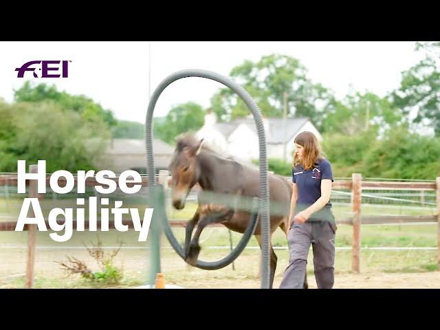 Have you ever heard about Horse Agility? | RIDE presented by Longines