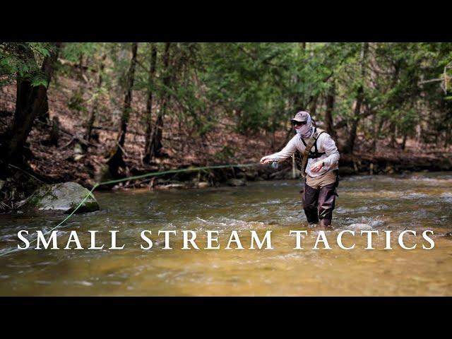 Small Stream Fly Fishing Tactics: Skagit