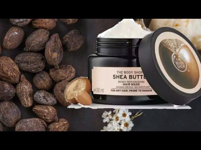 The body shop shea butter hair mask review|Beauty secret by samira