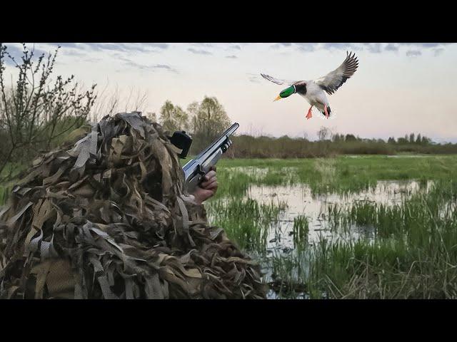 DUCKS FLY TO THE HUNTER. Killed 1000 ducks. Best Shots