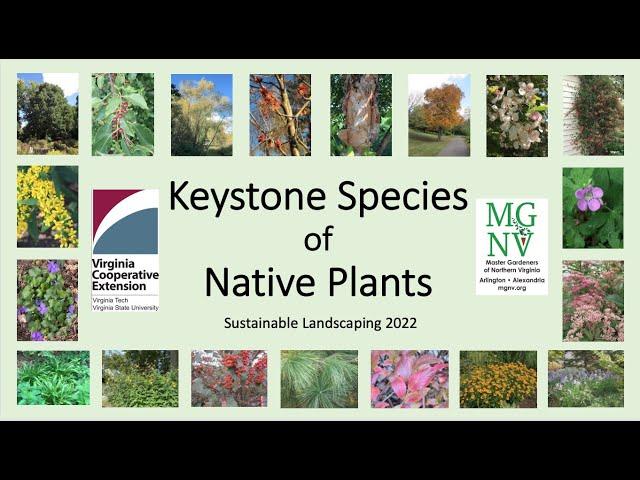 Keystone Species of Native Plants