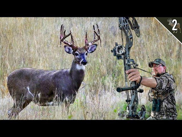 Our BEST Opening Day Ever! (Bowhunting Early Season Deer)