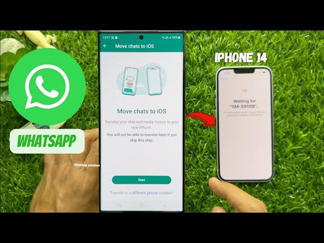 How to Transfer WhatsApp Chats from Android to iPhone (2023)