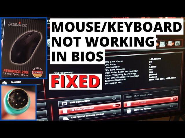 Mouse and Keyboard not working in Bios - FIXED