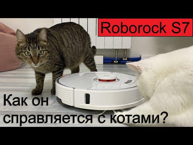 XIAOMI Roborock S7 лучший робот-пылесос в дом с животными.NEW Вибрирующая тряпка! Умный дом и котики