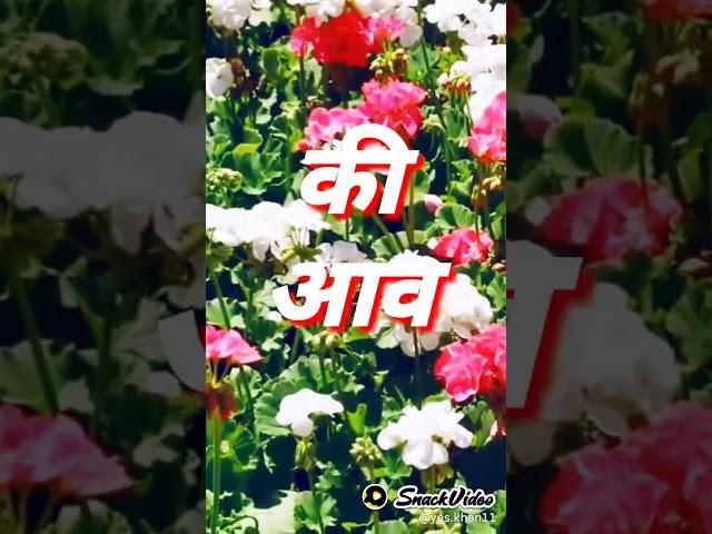 https://youtu.be/Pxcwkplkbx4