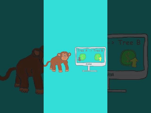 Monkey Explain How Crypto Works
