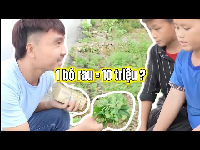 Phương Hữu Dưỡng Mua Một Bó Rau Với Giá 10 Triệu Đồng ?