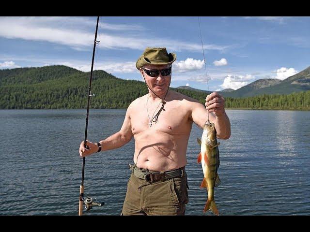 Bare-chested Vladimir Putin boats, sunbathes and picks mushrooms in Siberia!