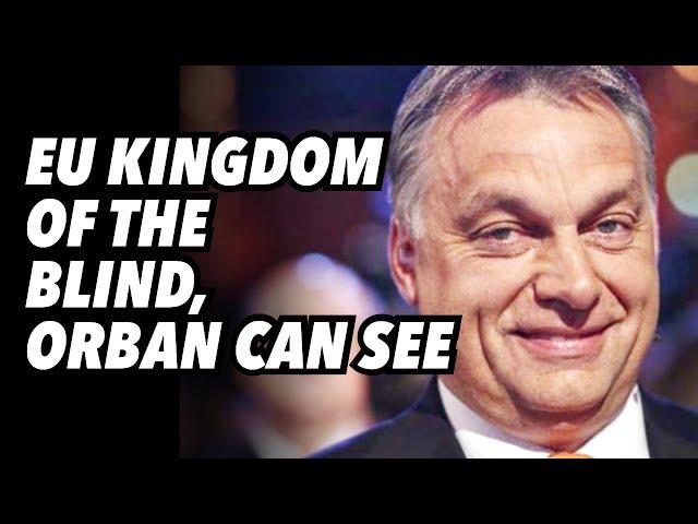 EU Kingdom of the Blind, Orban can see